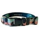 thumbnail image 2 of Collar para perro Wingo Outdoors Rainbow Trout S/M, 2 of 3