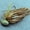 Green Pumpkin, variant on Hag's Tsunami Tungsten Micro Jig 3/8 oz.