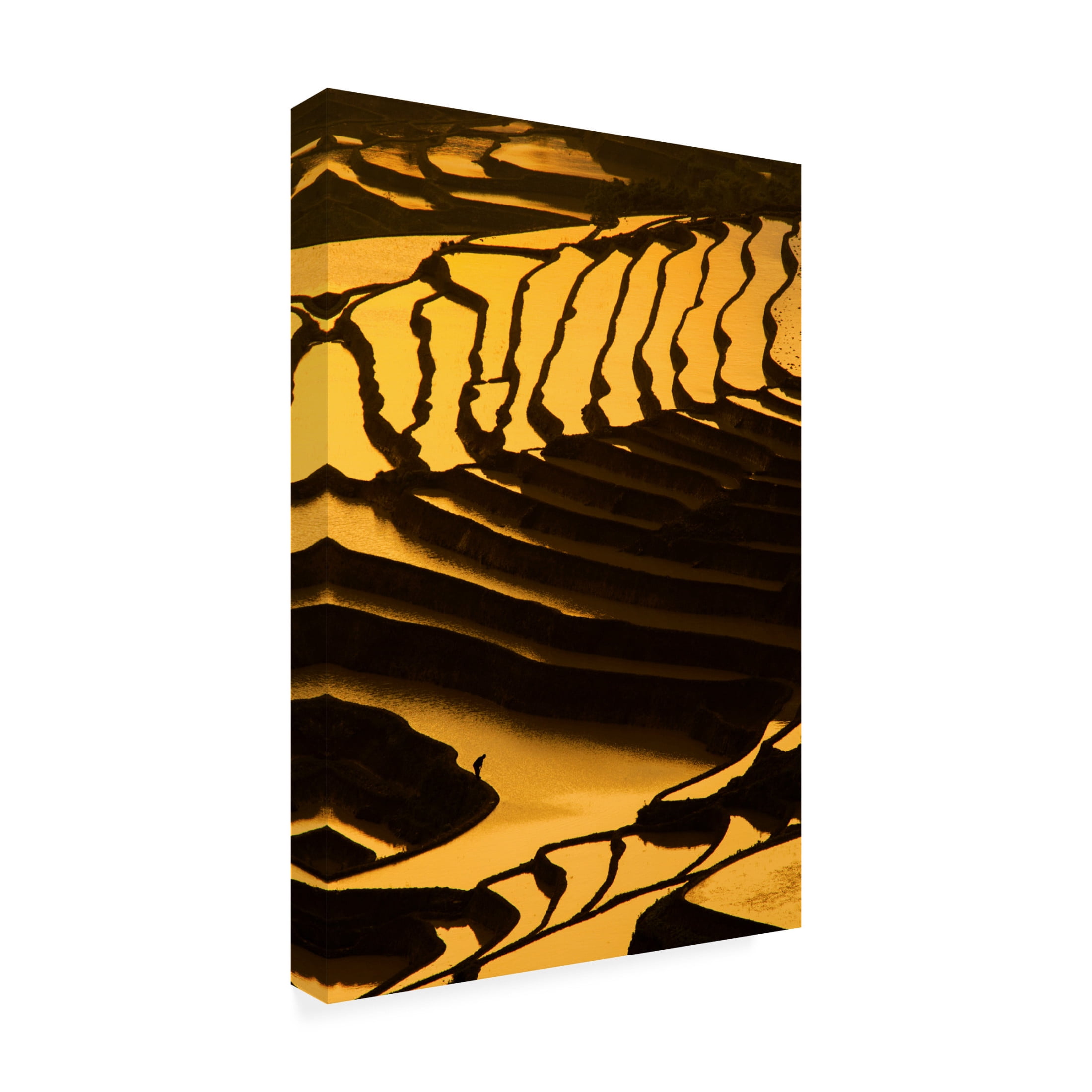 Canvas Wall Art - Andreas Sandstrom 'Among The Terraces' Wall Art for Living Room, Bedroom, or Office D?cor by Trademark Fine Art - 30 x 47 Inches