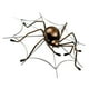 thumbnail image 3 of botellero de hierro con diseño de araña para vino tinto, soporte para botellas de vino, ideal para el hogar y el restaurante, 3 of 7