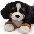 thumbnail image 2 of Spinmaster Og Bernese Mountain, 2 of 2