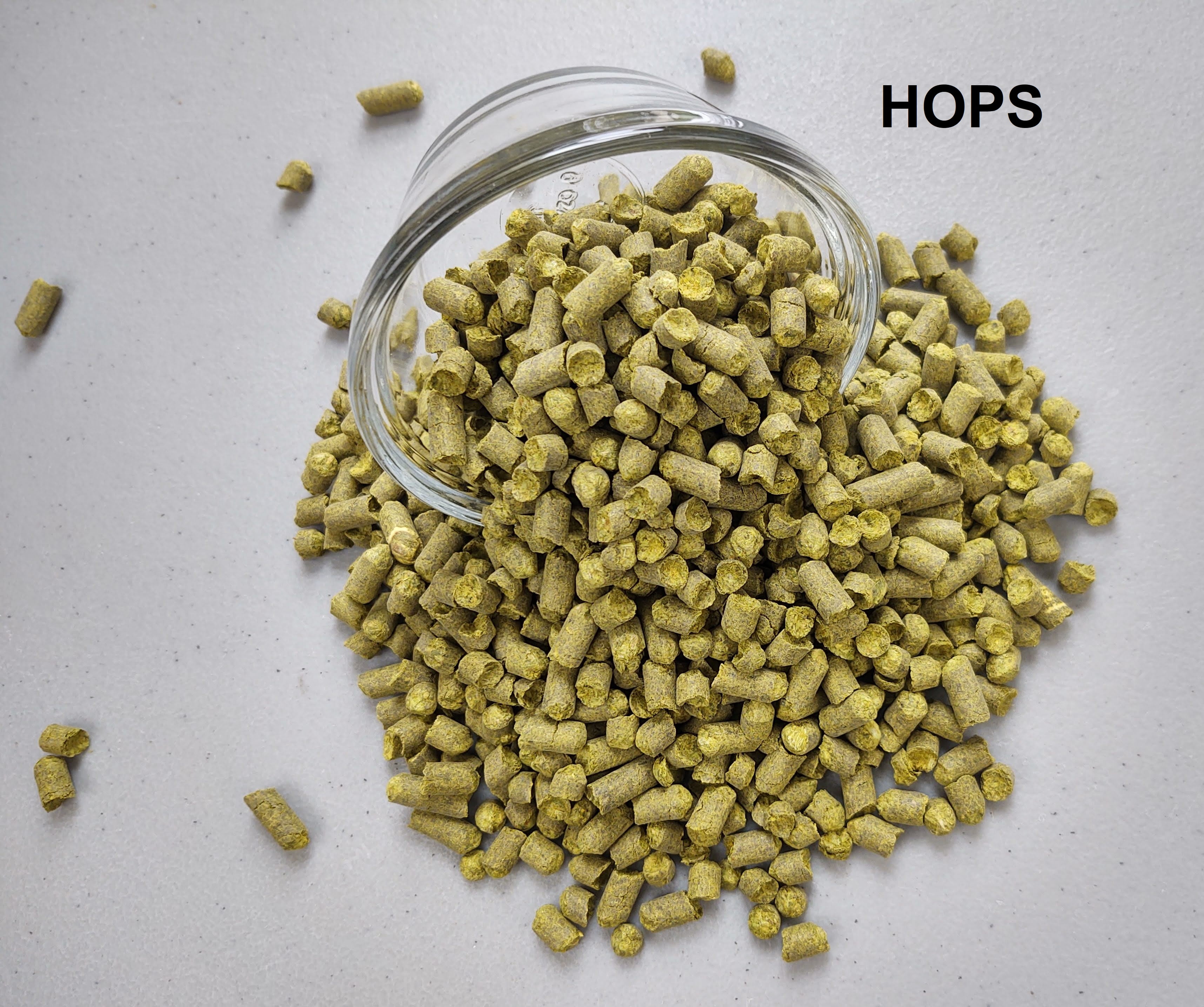 Transatlantic Blonde Ale Advanced ALL GRAIN 5 Gal Beer Recipe Kit My Brew Supply