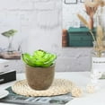 thumbnail image 3 of 4pcs simulation flower mini succulent bonsai creative decoration home artificial green plant potted plants - type:style1;, 3 of 5