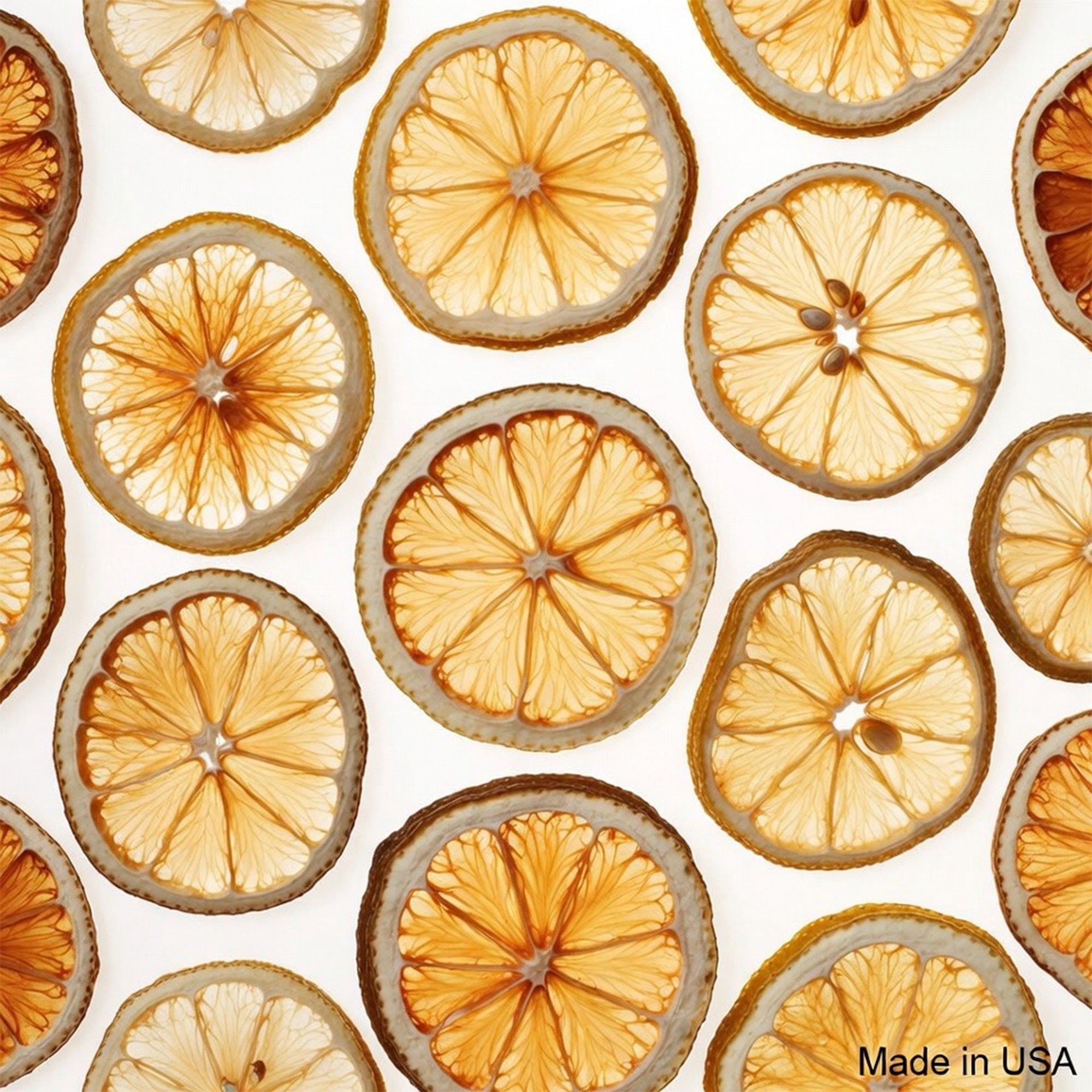Dried Lemon Slices Dehydrated Crispy Yellow Lemon No Sugar Added Single Ingredient Made in USA