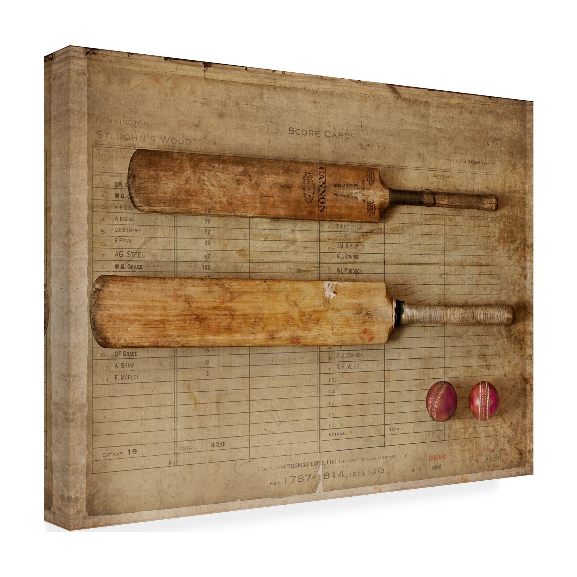 Symposium Design 'Cricket' Canvas Art