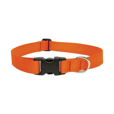 UPC: 0746889525530 | LupinePet Basic Solids Blaze Orange Blaze Orange Nylon Dog Adjustable Collar