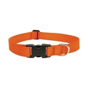 LupinePet Basic Solids Blaze Orange Blaze Orange Nylon Dog Adjustable Collar