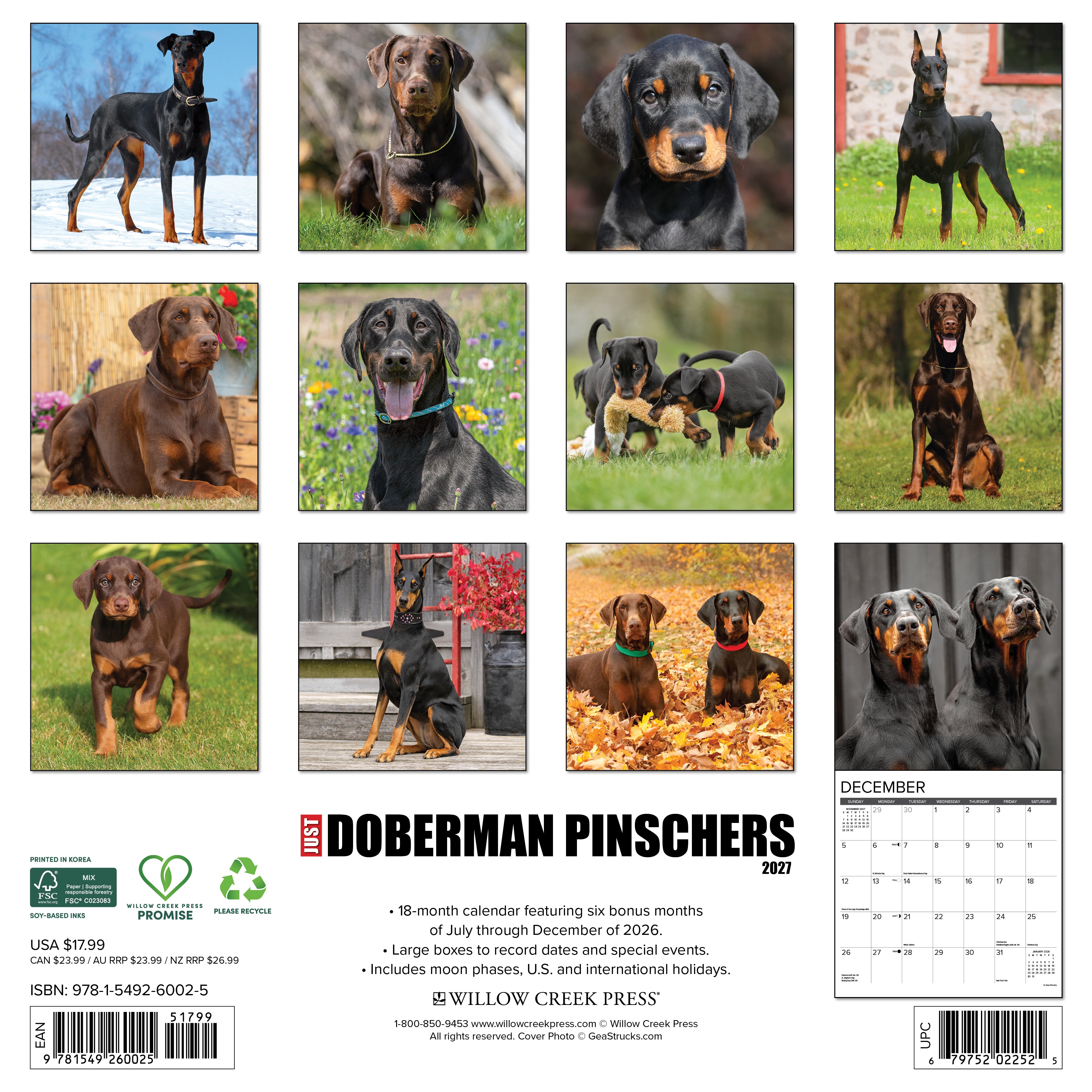 Willow Creek Press, Doberman Pinschers 2027 Wall Calendar