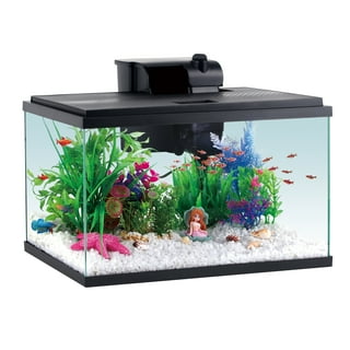 GloFish 2.5 Gallon Corner Aquarium Kit, Includes LED Lighting and  Filtration Perfect for GloFish Betta Fish Tank 