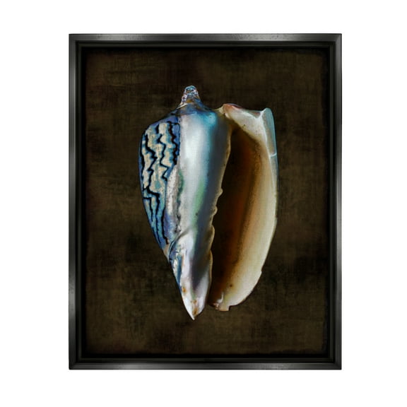Stupell Industries Dark Conch Shell Nature Painting Black Floater Framed Canvas Art Print Wall Art, 17 x 21