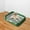 green, variant on DOLITY Indoor Dog Potty Tray Indoor Dogs Potty Train Pads for Small and Medium Dogs blue