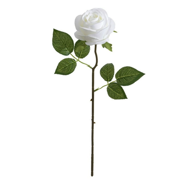 Imiter un Singles Rose