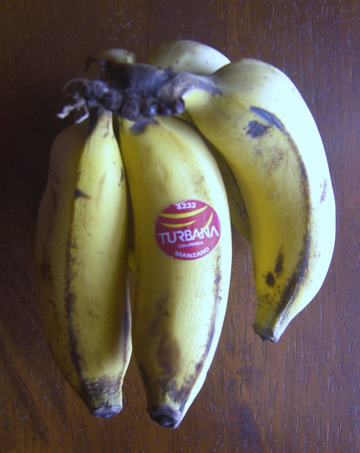 Manzano Apple Banana Plant - Live Plant