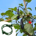 thumbnail image 3 of Clips Soporte para Plantas Clips Plástico Reutilizables para Tomate Vegetal (verde) 100 Uds., 3 of 9