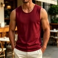 thumbnail image 2 of Dagugfen Workout Tank Tops for Men Mesh Breathable Regular Fitted Sleeveless Crew Neck Basic Layer Tops Summer Outdoor Activewear Tanks, 2 of 7