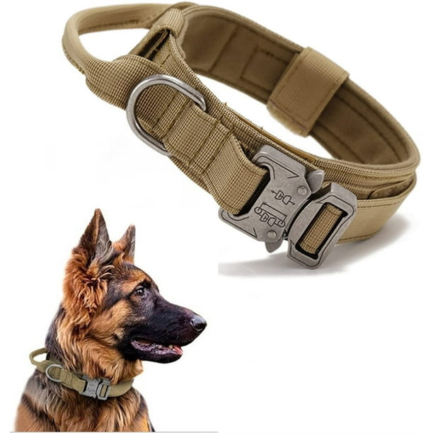 Dog collar medium clearance size
