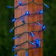 thumbnail image 4 of Novelty Lights Blue 35 light T5 Traditional LED Christmas Mini Light Set (Green Wire, 11.5 Feet), 4 of 5
