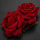 thumbnail image 5 of 2X Pinza de Pelo de Flor Rosa Diapositiva Alfiler de Bailarina de Flamenco Broche de Flores Clip de Estilo de Cabello, 5 of 9
