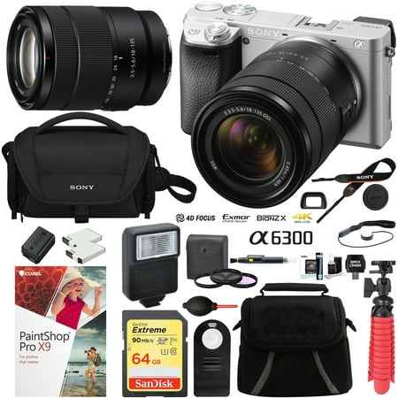 Sony ILCE-6300M/S a6300 4K Mirrorless Camera (Silver) with 18-135mm F3.5-5.6 OSS Zoom Lens and Case 64GB SDXC Memory Card Pro Photography (Best Camera To Start Out Photography)
