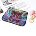 thumbnail image 3 of Bricolaje en forma especial diamante pintura cremallera bolso de la cartera Búho 2 Sunnimix Pintura de diamante 5D DIY, 3 of 8