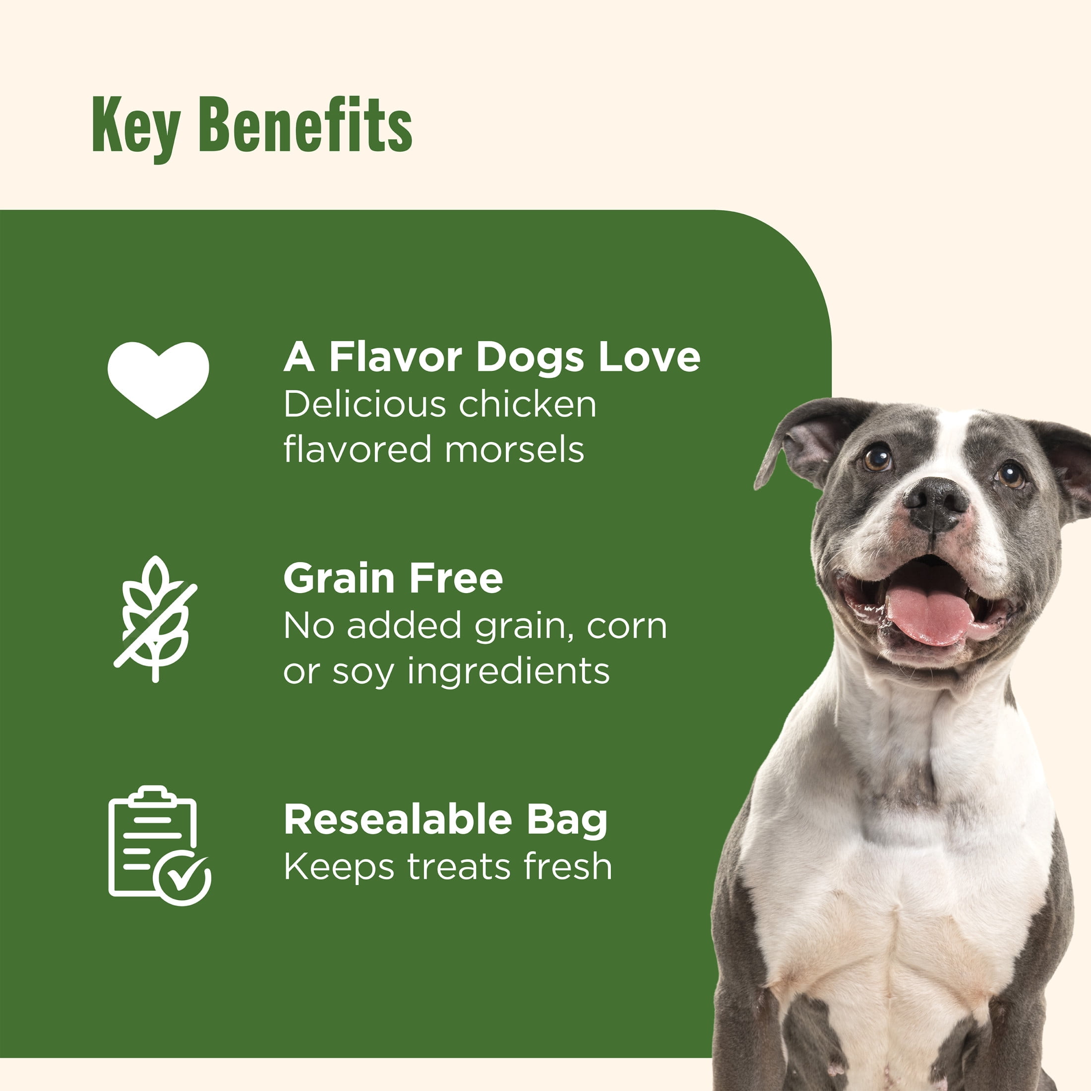 (2 pack) Rachael Ray Nutrish Savory Roasters Chicken Recipe Premium Dog Treats, 12 oz Pouch