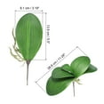 thumbnail image 2 of Uxcell 5.4 inch Faux Orchid Leaves Real Touch 5 Petals Artificial Phalaenopsis Leaf Green Plant Stem 2 Pack Green, 2 of 6