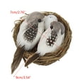 thumbnail image 3 of Acahhotxx Birds Ornaments, Artificial Birds and Bird Nest and Bird Set Miniature Ornament, 3 of 3
