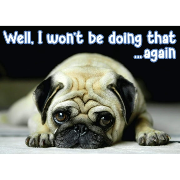 Glory To Dog Well, I Won't Be Doing That ...Again Apology Card