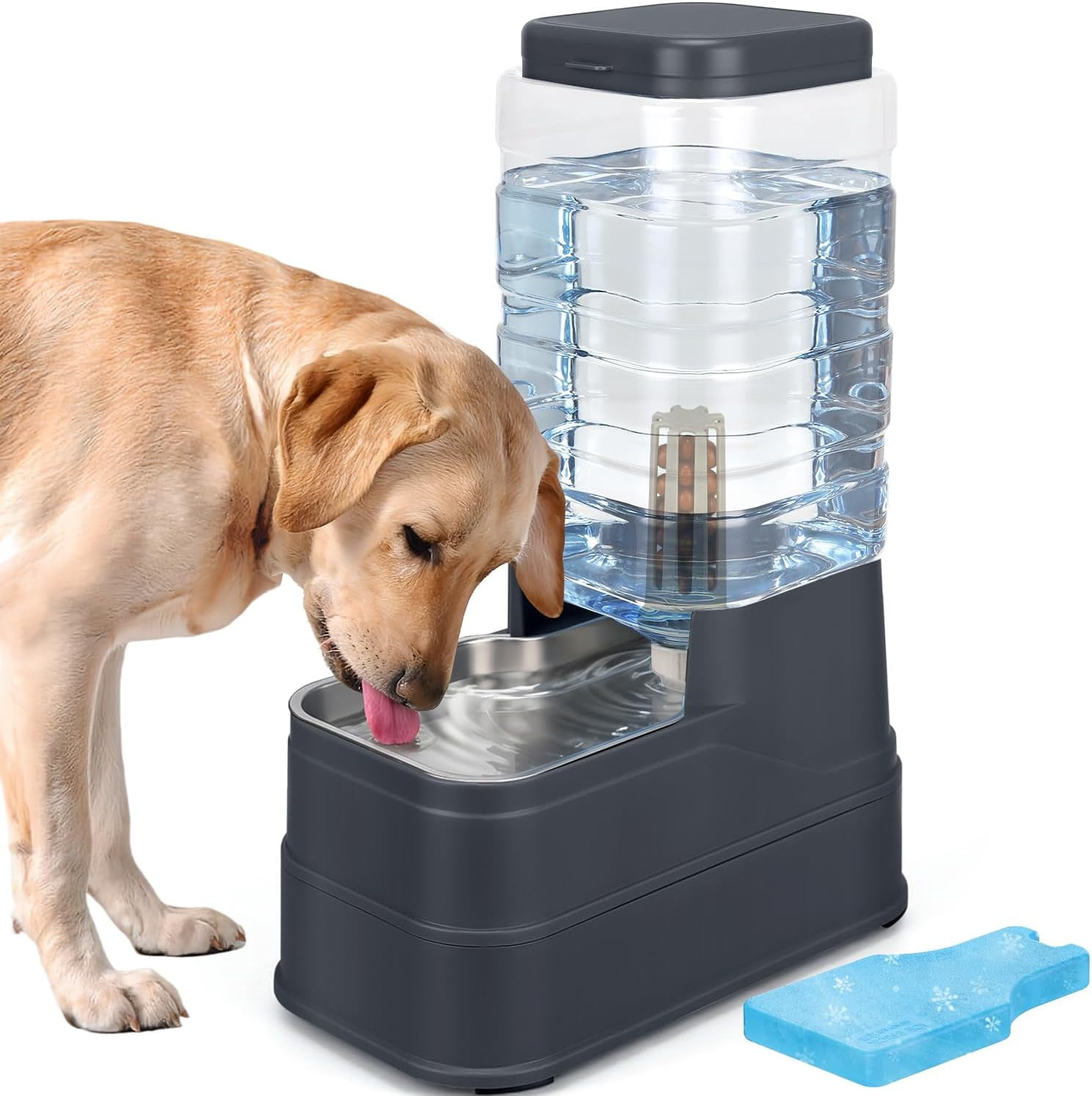 1.1 Gallon Pet Automatic Dog Water Dispenser Cat Gravity Waterer Feeder with Stainless Steel Bowl Large Capacity Puppy Feeding Raised Bowls with Filter,Ice Pack (White, 4L(1.1 Gallon))