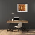 thumbnail image 3 of BoMo 32x26 White Modern Wood Framed Museum Art Print Titled - Lioness, 3 of 4