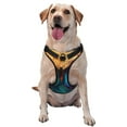 thumbnail image 1 of Balery Vibrant Rainbow Butterfly A Arnés para Perros Grandes Antitirones, Arnés con Correa para Gato, Arnés Tipo Chaleco para Perros Pequeños-Medium, 1 of 6