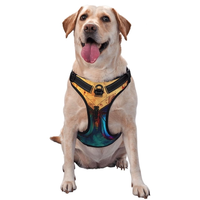 Balery Vibrant Rainbow Butterfly A Arnés para Perros Grandes Antitirones, Arnés con Correa para Gato, Arnés Tipo Chaleco para Perros Pequeños-X-Large