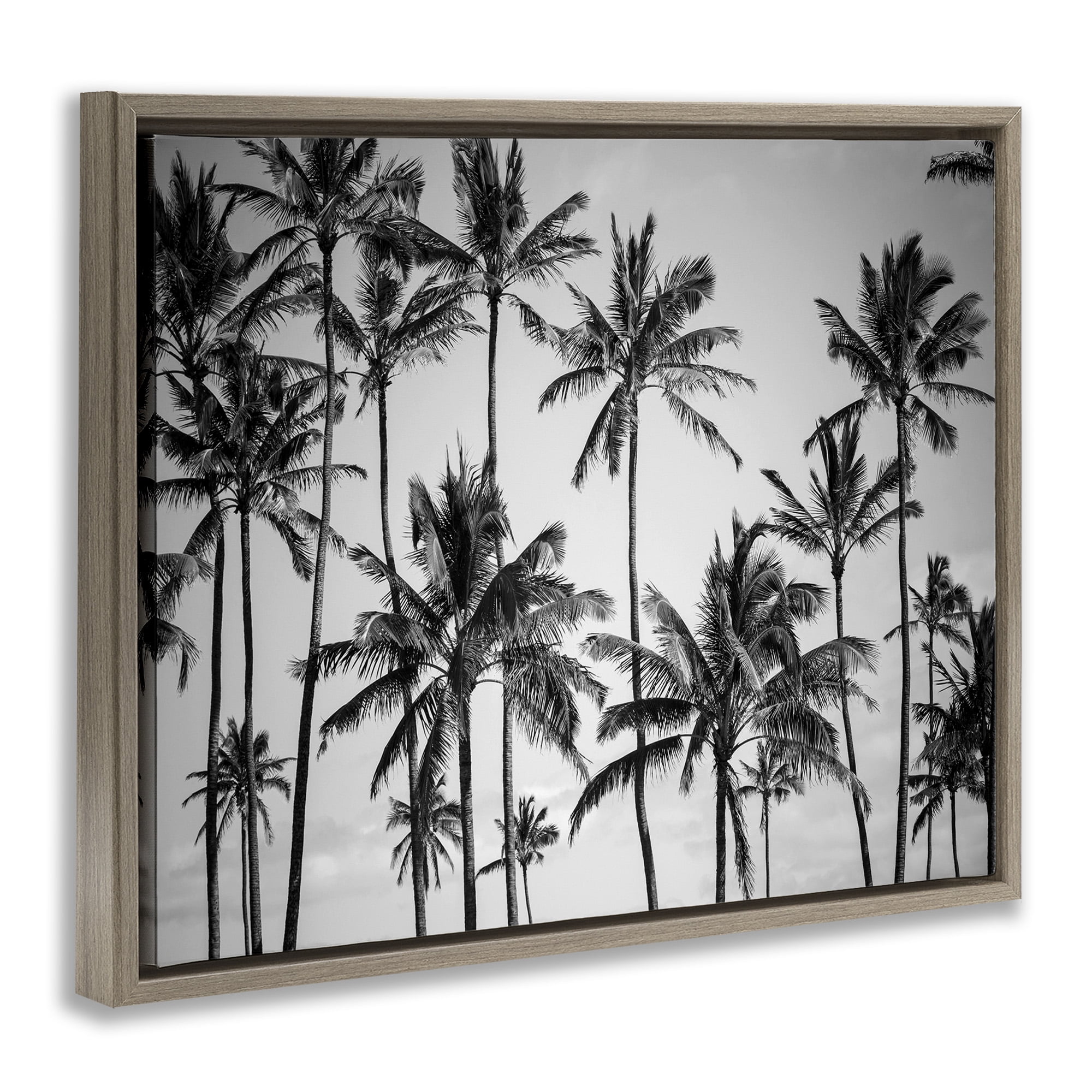 Stupell Industries Black & White Palm Trees Skyline Botanical & Floral Photography Brown Floater Framed Canvas Art Print Wall Art, 21 x 17