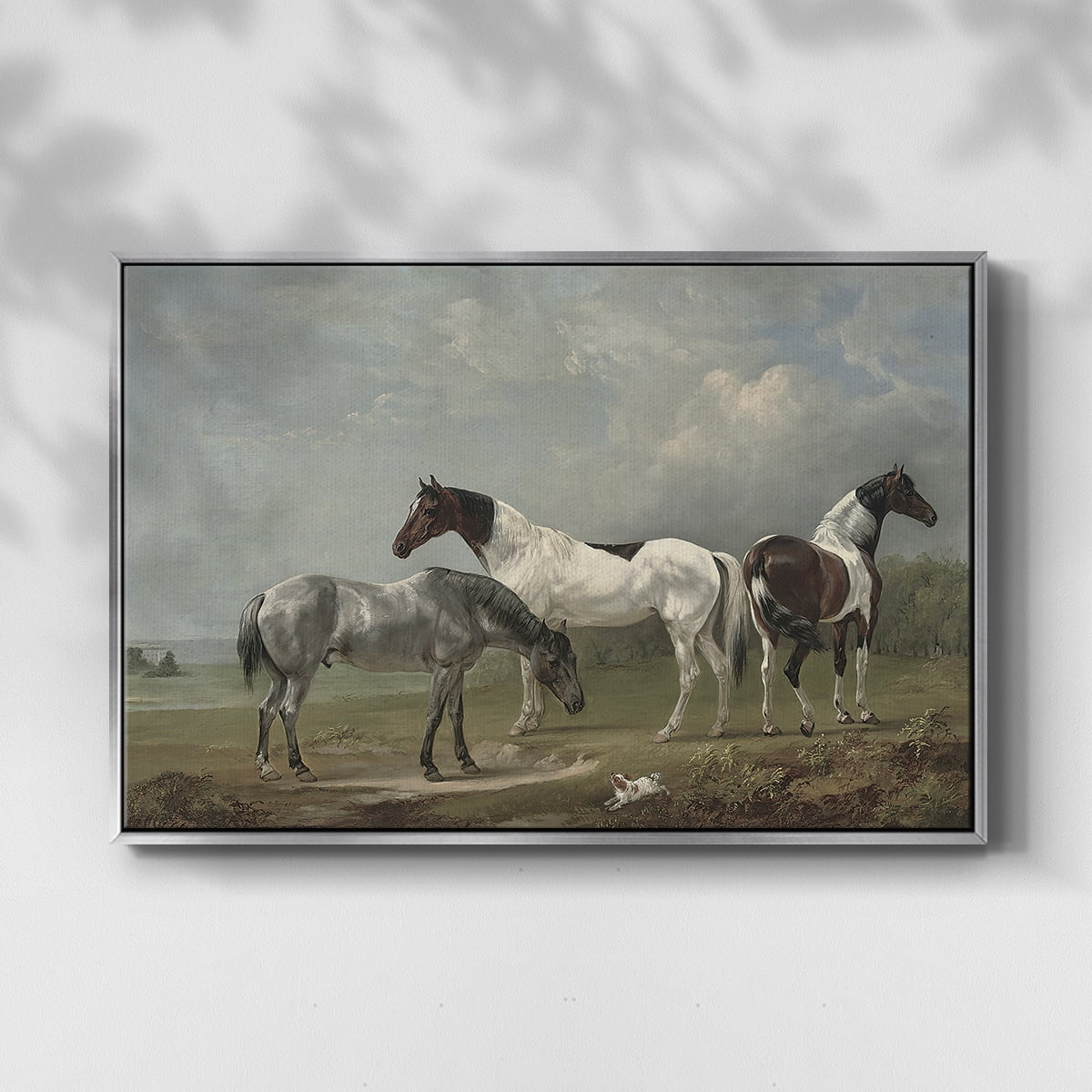 Vintage Animal Print-XX By Wexford Home Framed in Silver Wood Gallery Wrapped Canvas 17 in. x 25 in.