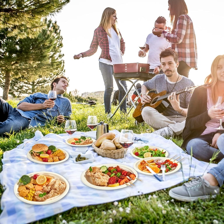 BN-LINK 125-Count Compostable Paper Plates, 10 Inch, Eco-Friendly photo 7