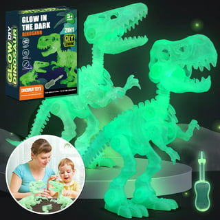 JONRRYIN 5 in 1 STEM Kits for Kids Ages 8-12, 3D Wooden Puzzle Dinosaur  Model kit, STEM Project DIY Assembly Dinosaur Building Toys Birthday  Christmas