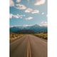 thumbnail image 4 of Fondo de fotografía de retrato para niños y adultos con carretera de Laeacco, camino sinuoso sin fin, paisaje natural, campo, árbol frondoso, 4 of 5