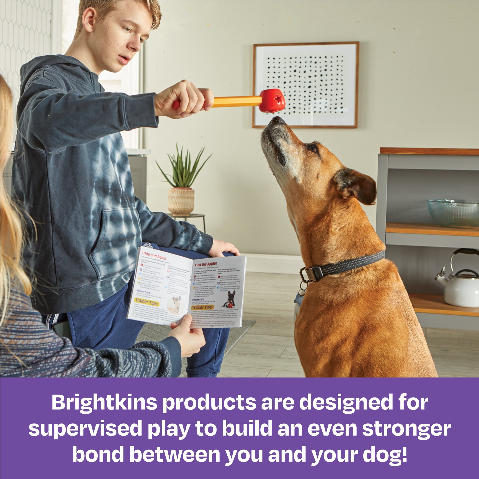 Brightkins Pooch School! Dog Training Set Dog Toy, Interactive Enrichment Games, 15-Pieces