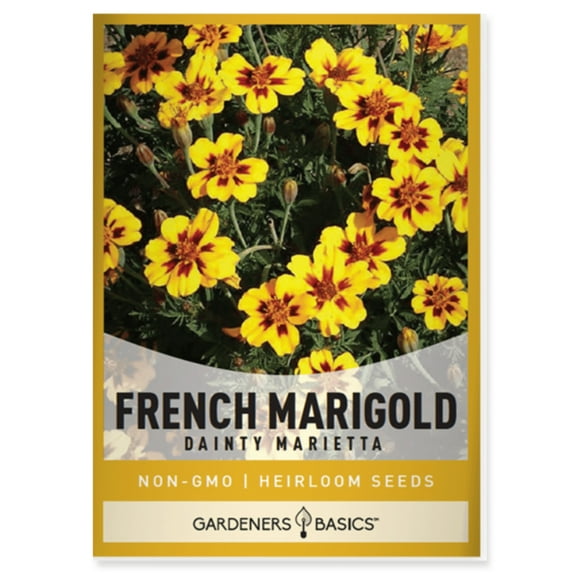 French Marigold Dainty Marietta Seeds