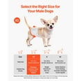 thumbnail image 2 of KFFKFF Disposable Male Dog Diapers, Highly Absorbent Belly Bands with Leak Protection and Wetness Indicator for Training, Heat, and Incontinence - XS, 96 Pack (2 x 48), 2 of 9