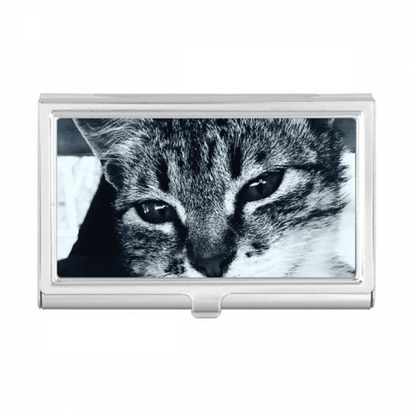 Animal Cool Gray Cat Photograph Business Card Holder Case Pocket Box Wallet