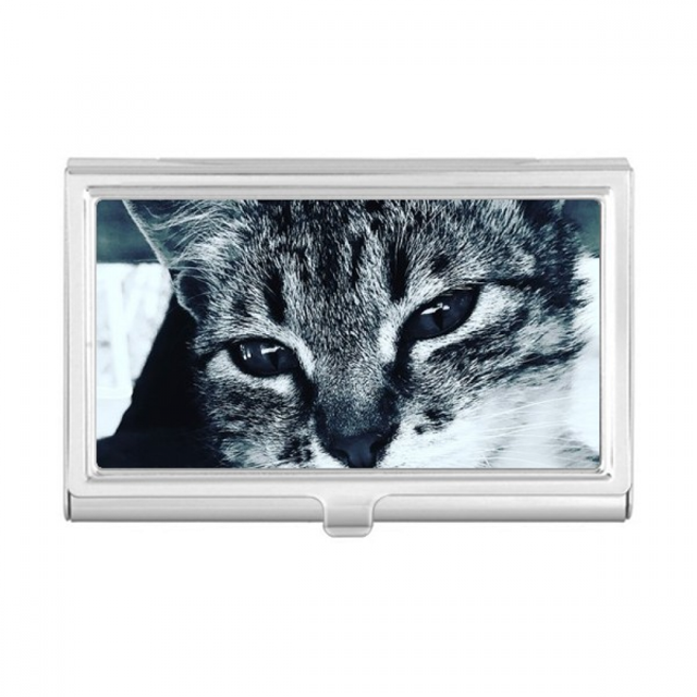 Animal Cool Gray Cat Photograph Business Card Holder Case Pocket Box Wallet