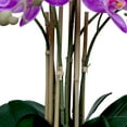 thumbnail image 3 of 27.5" Artificial Faux Purple Orchid Arrangement in Planter | Real Touch Purple Moth Phalaenopsis Orchids, 3 of 6