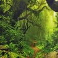 thumbnail image 6 of Misty Forest Tapestry Magical Nature Green Tree Wall Tapestry Rainforest Landscape Tapestry Wall Hanging Bohemian Psychedelic Tapestry for Bedroom Living Room Dorm, 6 of 8