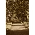 thumbnail image 2 of Perry, Rachel 13x18 White Modern Wood Framed Museum Art Print Titled - Road to St. Remy, 2 of 4