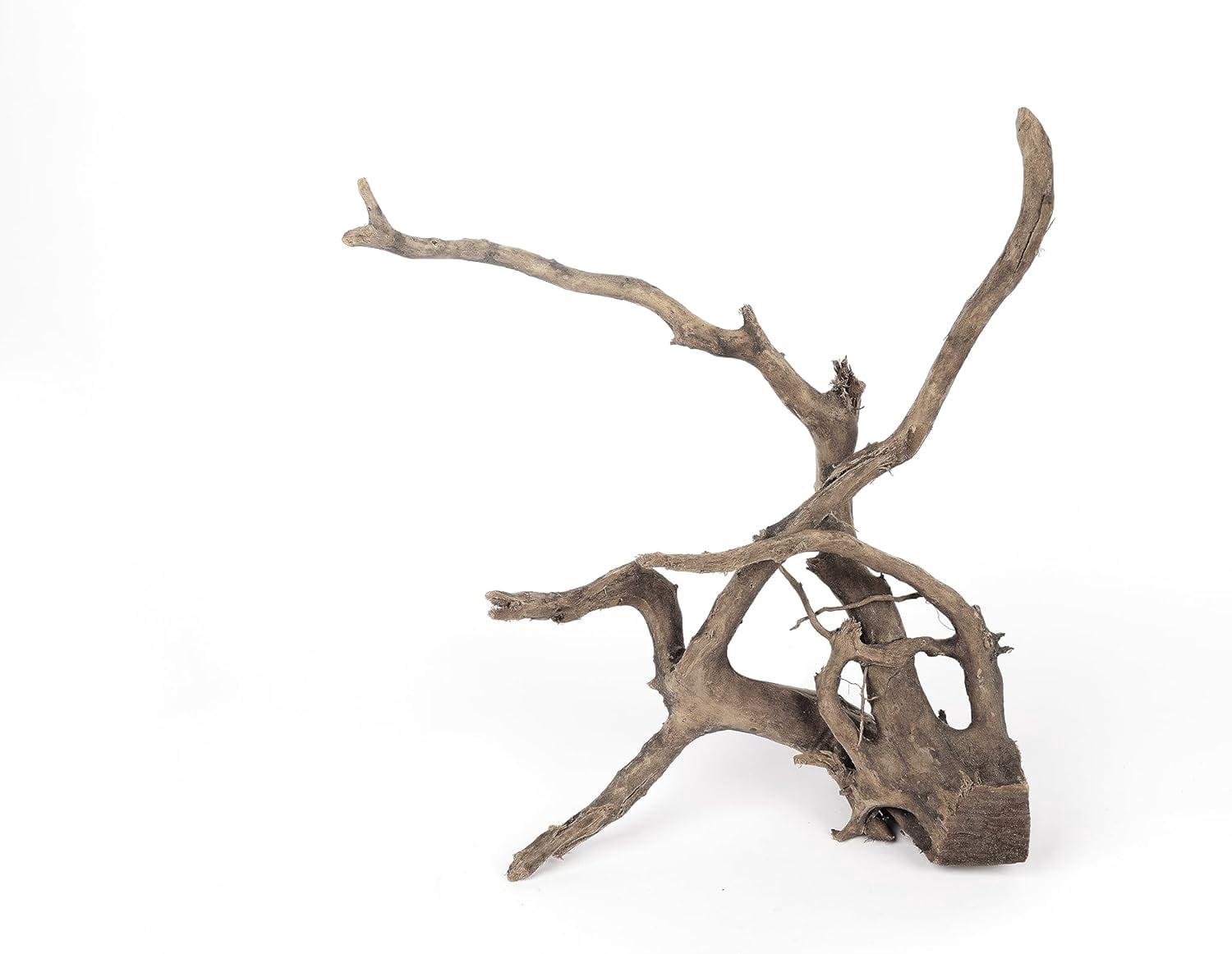 Natural Spider Wood Driftwood Branches for Aquarium Decoration (12-16 Inch, XL, 4 Pieces)