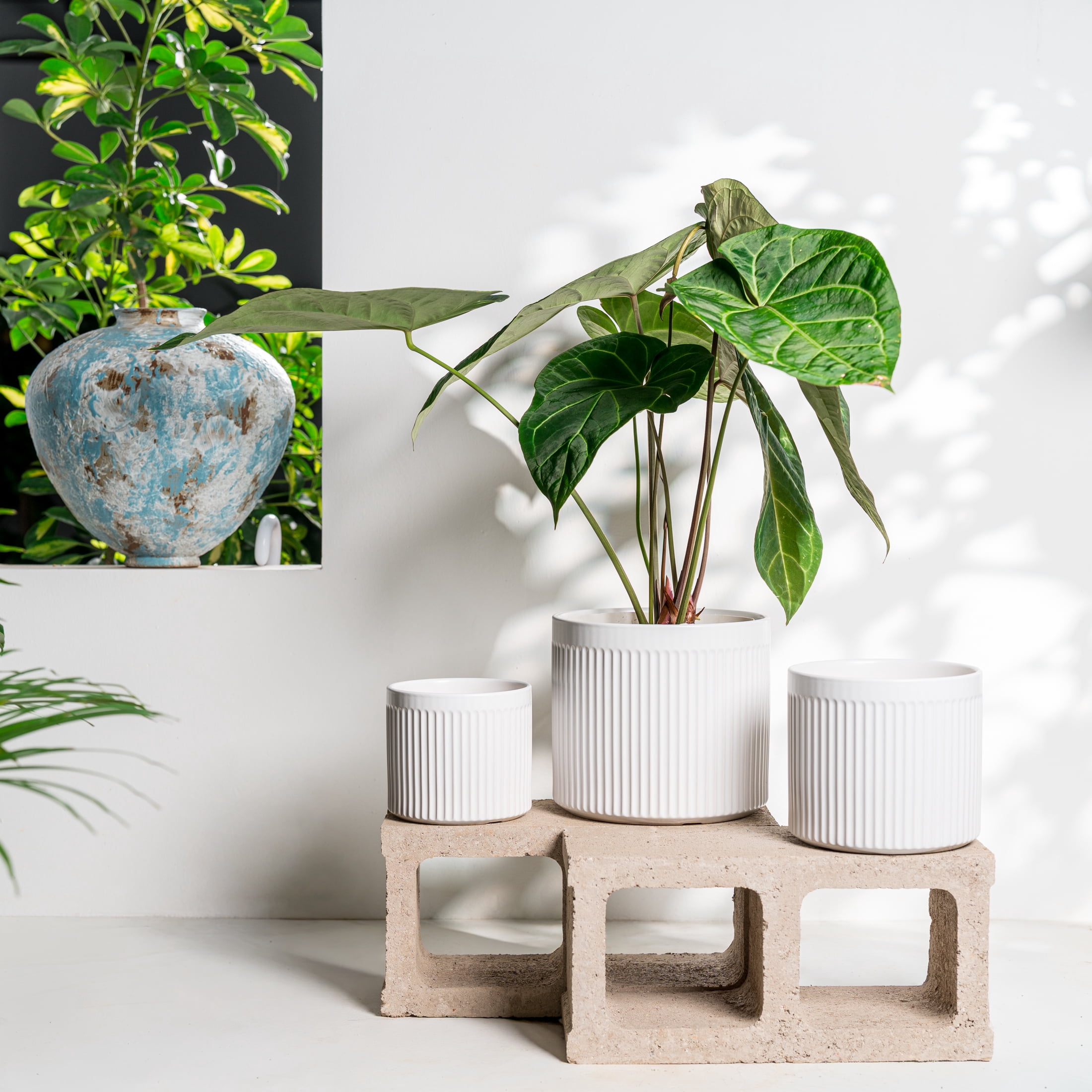 UMIAMOY Modern Cylinder Set of 3 Ceramic Flower Pots,5.7+7.0+8.6 inch Plant Pots with Drainage Holes and Saucer,Indoor Outdoor Planters for Home Patio Garden Decoration