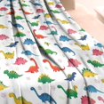 thumbnail image 3 of Colorful Dinosaur Assortment Pattern Blanket,Comfortable Soft Lamb Wool Throw Blanket,All Season,Warm Lightweight Blankets for Sofa Bed Couch Living Room Chair,40"x50", 3 of 4