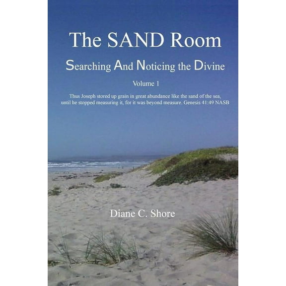 The Sand Room Volume. 1 : Searching and Noticing the Divine (Paperback)