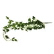 thumbnail image 5 of Guirnalda de enredaderas artificiales de 96 cm para decoración de pared de boda Batata, 5 of 9